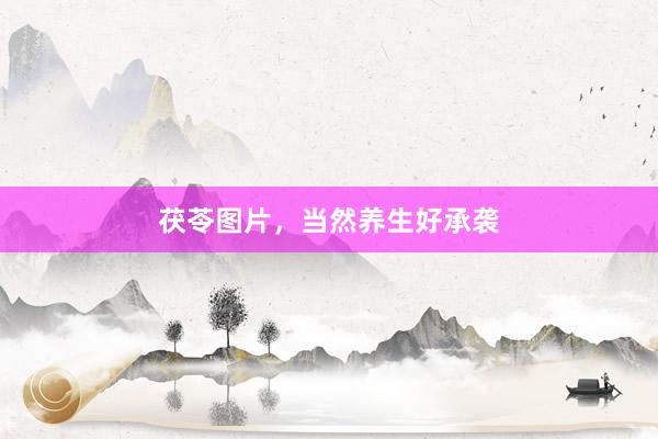茯苓图片，当然养生好承袭