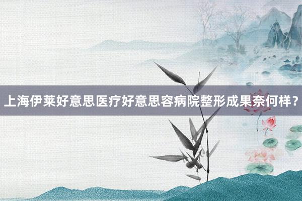 上海伊莱好意思医疗好意思容病院整形成果奈何样？