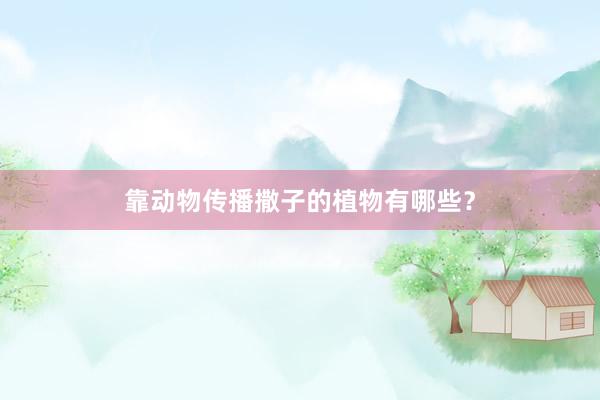 靠动物传播撒子的植物有哪些？