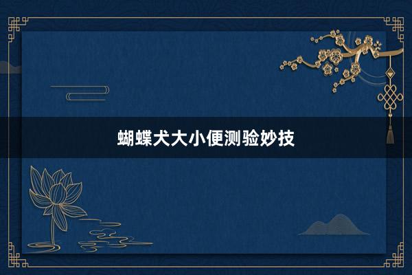 蝴蝶犬大小便测验妙技