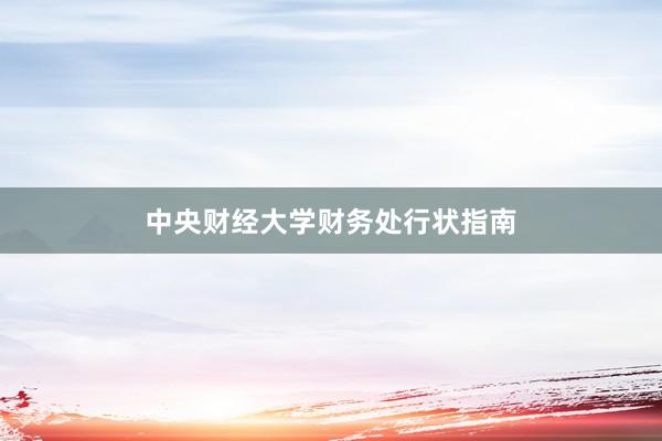 中央财经大学财务处行状指南